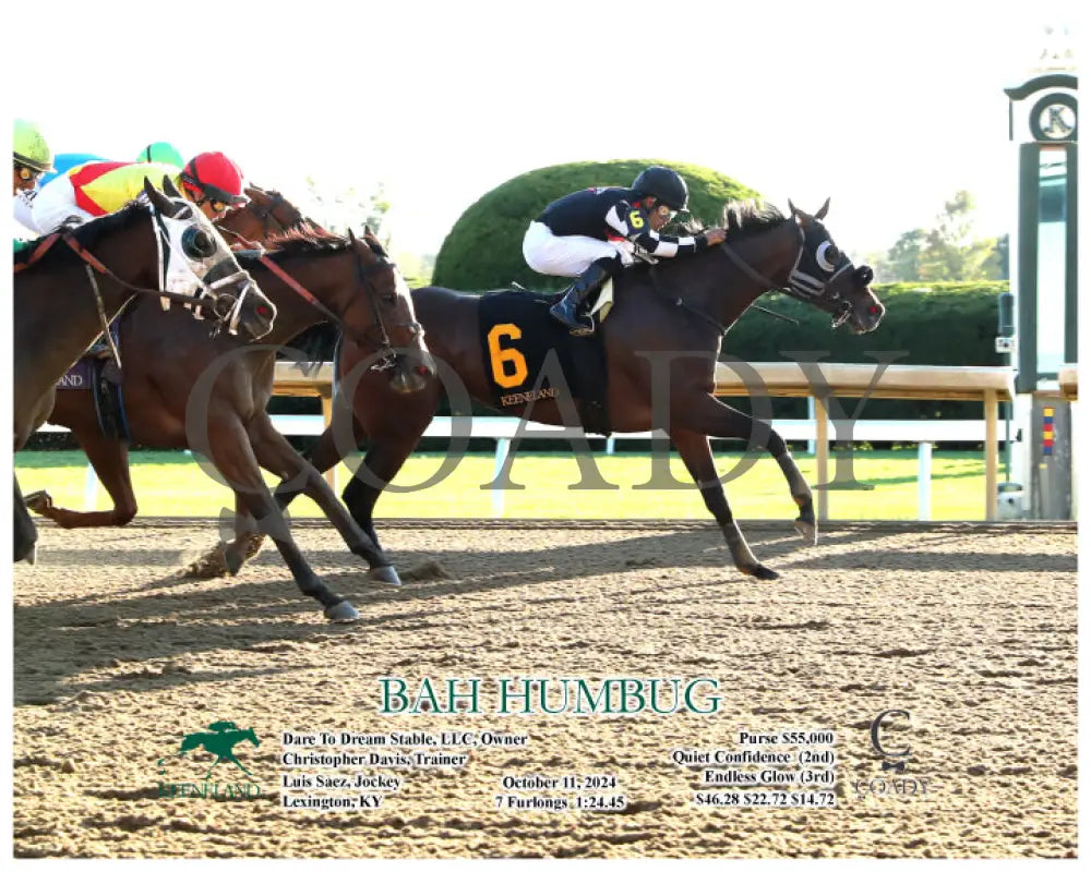 Bah Humbug - 10-11-24 R10 Kee Action Keeneland