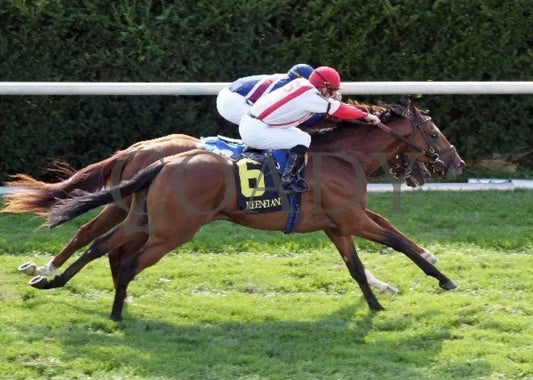 Balance The Books - Aerial -The 22Nd Running Of Th Keeneland