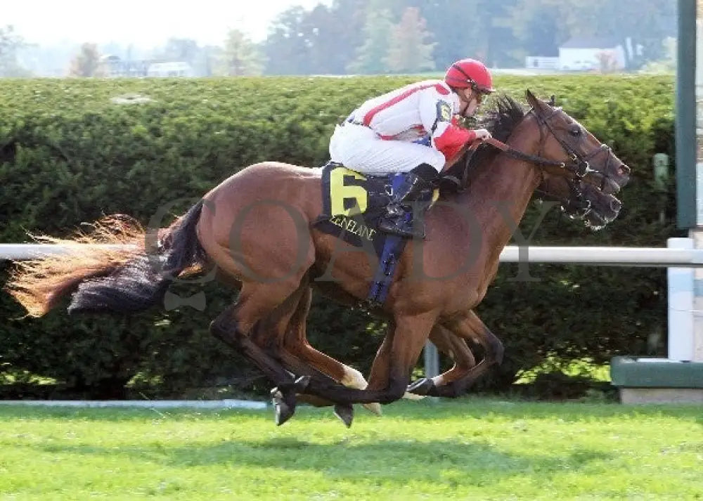 Balance The Books - Finish -The 22Nd Running Of Th Keeneland