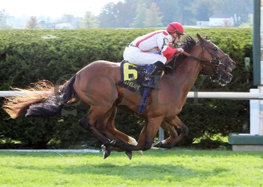Balance The Books - Finish -The 22Nd Running Of Th Keeneland