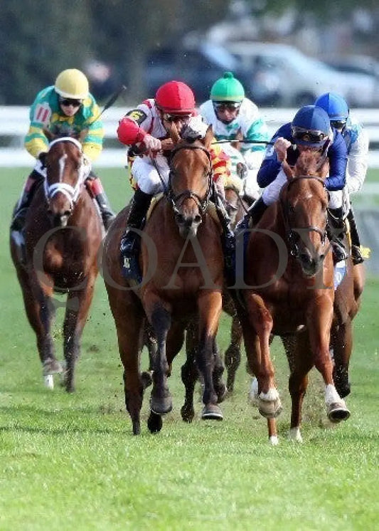 Balance The Books - Head On -The 22Nd Running Of T Keeneland