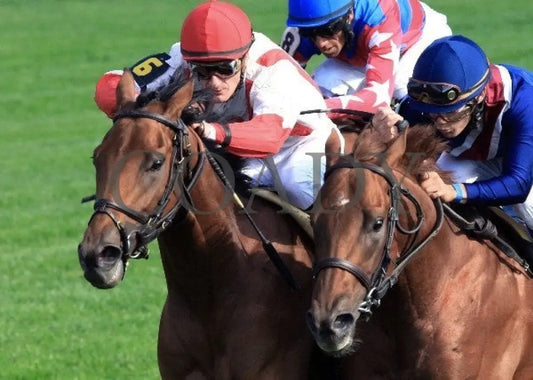 Balance The Books - Inside 1 -The 22Nd Running Of Keeneland