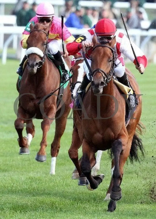 Balance The Books - Inside -The 22Nd Running Of T Keeneland