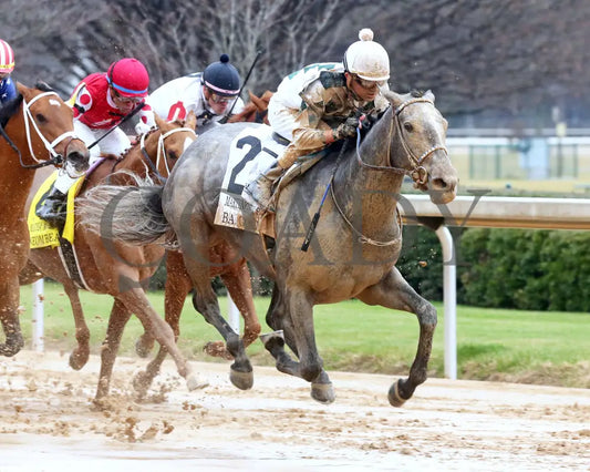 Band Of Gold - Martha Washington Stakes 46Th Running 02-03-24 R09 Oaklawn Park Finish 02