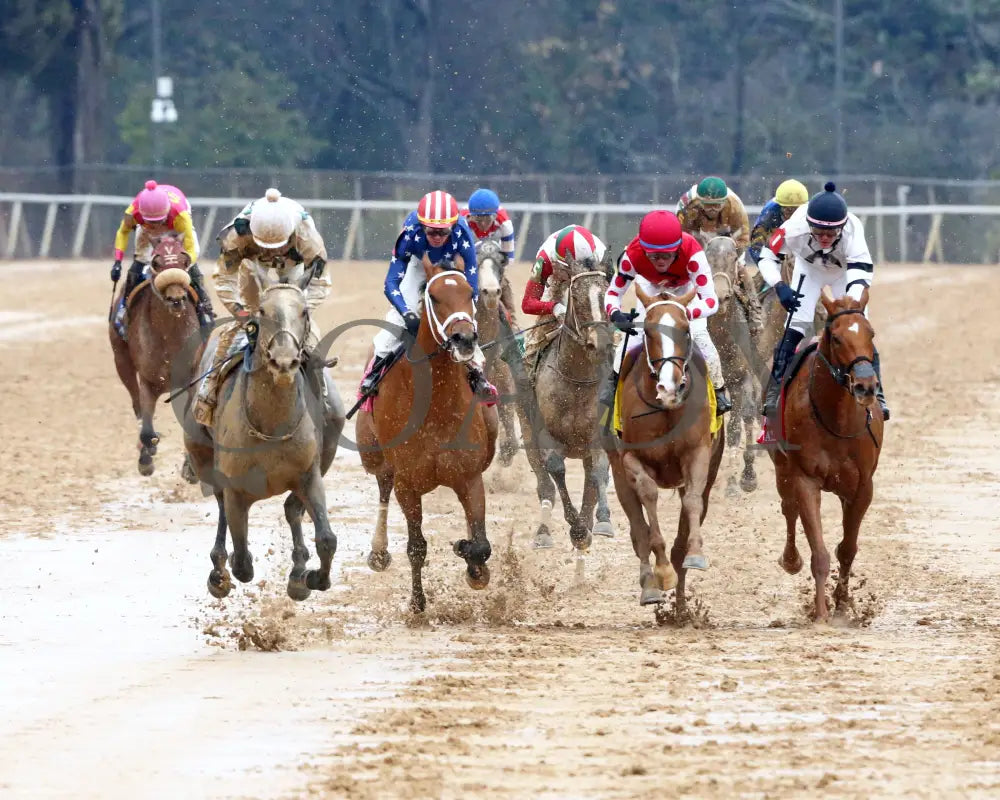 Band Of Gold - Martha Washington Stakes 46Th Running 02-03-24 R09 Oaklawn Park Head On 01