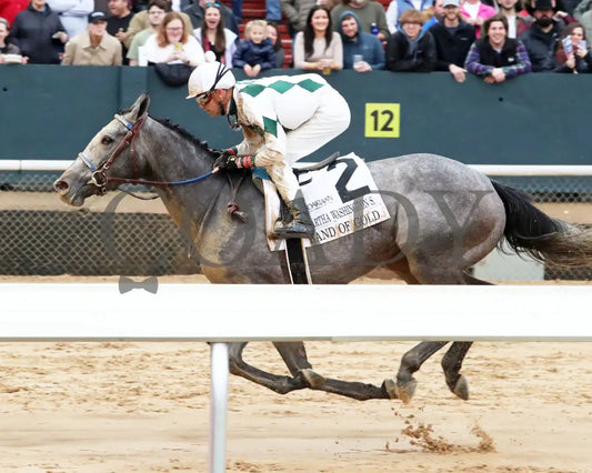 Band Of Gold - Martha Washington Stakes 46Th Running 02-03-24 R09 Oaklawn Park Inside Finish 01
