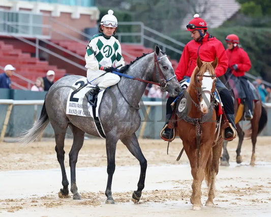 Band Of Gold - Martha Washington Stakes 46Th Running 02-03-24 R09 Oaklawn Park Post Parade 01