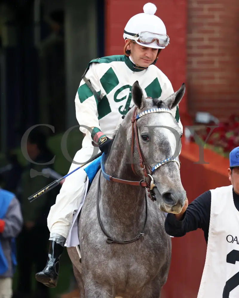 Band Of Gold - Martha Washington Stakes 46Th Running 02-03-24 R09 Oaklawn Park Post Parade 02