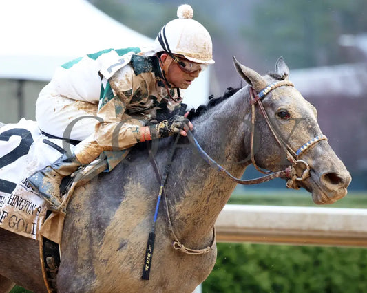 Band Of Gold - Martha Washington Stakes 46Th Running 02-03-24 R09 Oaklawn Park Tight Finish 01