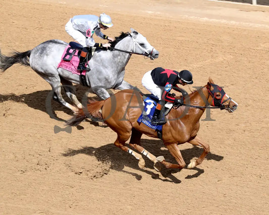 BANISHING - 032925 - Race 08 - OP Oaklawn Mile Stakes G3 - Aerial Finish 01 Oaklawn Park