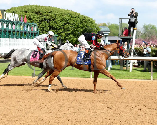 BANISHING - 032925 - Race 08 - OP Oaklawn Mile Stakes G3 - Finish 01 Oaklawn Park
