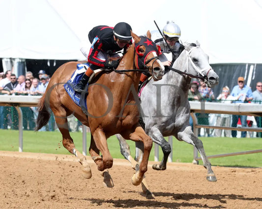 BANISHING - 032925 - Race 08 - OP Oaklawn Mile Stakes G3 - Finish 02 Oaklawn Park