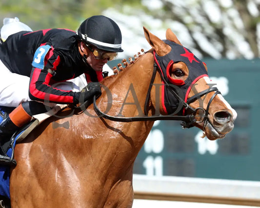 BANISHING - 032925 - Race 08 - OP  Oaklawn Mile Stakes G3 - Finish 04 - Coady Media - Kurtis Coady Photography