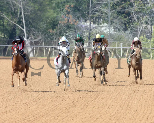 BANISHING - 032925 - Race 08 - OP Oaklawn Mile Stakes G3 - Head On 01 Oaklawn Park