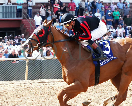 BANISHING - 032925 - Race 08 - OP  Oaklawn Mile Stakes G3 - Inside Finish 01 - Coady Media - Kurtis Coady Photography