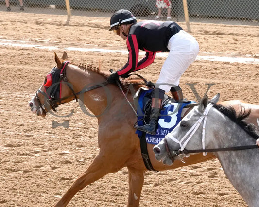 BANISHING - 032925 - Race 08 - OP Oaklawn Mile Stakes G3 - Inside Finish 02 Oaklawn Park