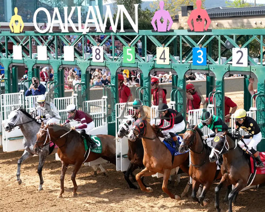 BANISHING - 032925 - Race 08 - OP Oaklawn Mile Stakes G3 - Start 01 Oaklawn Park
