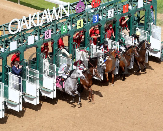 BANISHING - 032925 - Race 08 - OP  Oaklawn Mile Stakes G3 - Start 02 - Coady Media - Kurtis Coady Photography