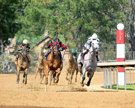 BANISHING - 032925 - Race 08 - OP  Oaklawn Mile Stakes G3 - Turn 01 - Coady Media - Kurtis Coady Photography
