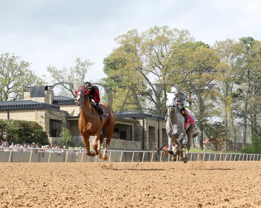 BANISHING - 032925 - Race 08 - OP Oaklawn Mile Stakes G3 - Under Rail 01 Oaklawn Park