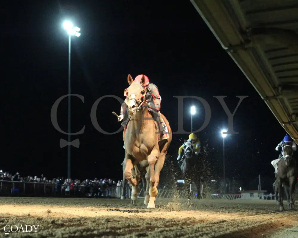 BANISHING  - 082225 - Race 11 - CT  Charles Town Classic G2 - Under Rail 01 - Coady Media - Kurtis Coady Photography