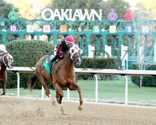 Banishing - The Byerley Turk Overnight Stakes 1St Running 01-23-25 R09 Op Action 02 Oaklawn Park