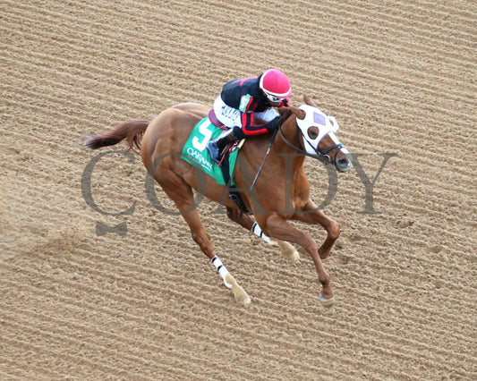 Banishing - The Byerley Turk Overnight Stakes 1St Running 01-23-25 R09 Op Action 03 Oaklawn Park