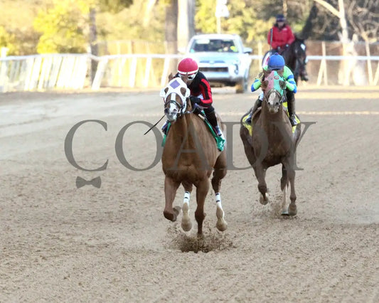 Banishing - The Byerley Turk Overnight Stakes 1St Running 01-23-25 R09 Op Action 04 Oaklawn Park