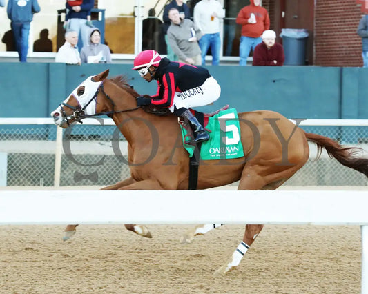 Banishing - The Byerley Turk Overnight Stakes 1St Running 01-23-25 R09 Op Action 05 Oaklawn Park
