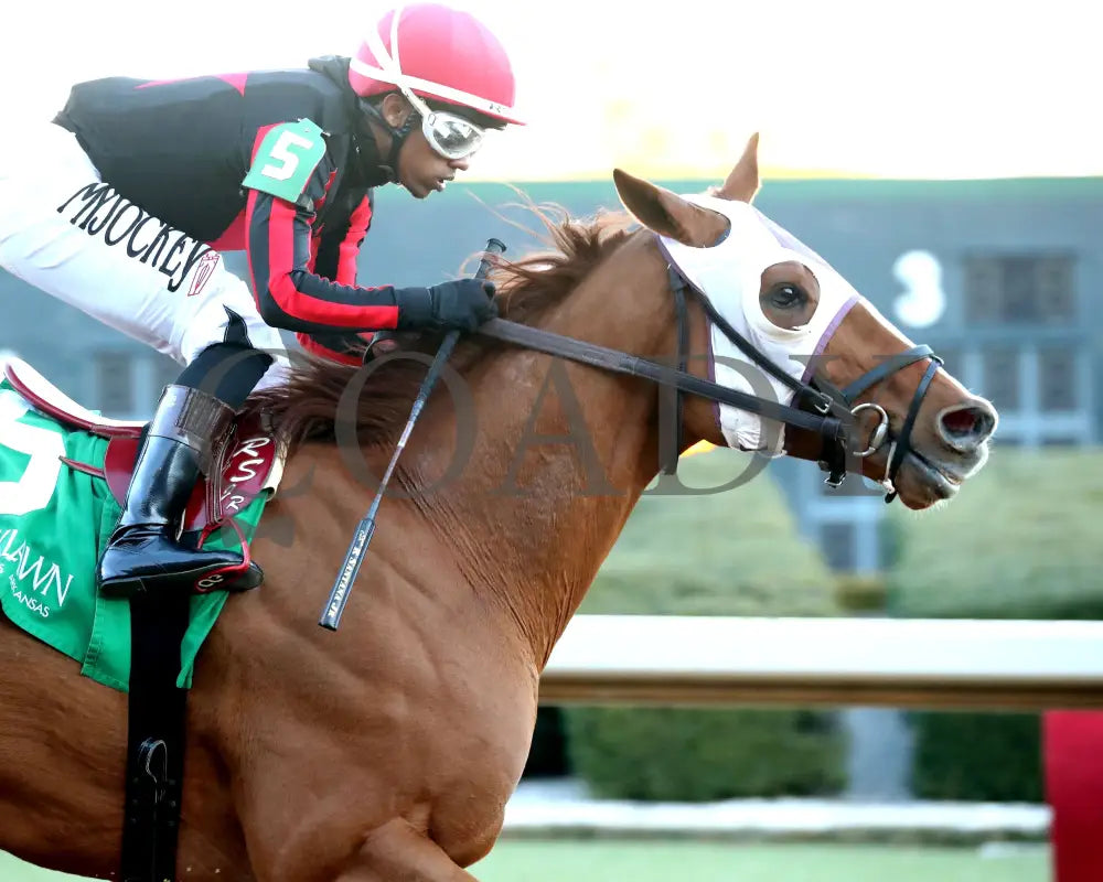 Banishing - The Byerley Turk Overnight Stakes 1St Running 01-23-25 R09 Op Action 06 Oaklawn Park
