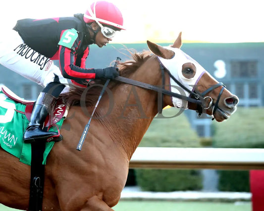 Banishing - The Byerley Turk Overnight Stakes 1St Running 01-23-25 R09 Op Action 06 Oaklawn Park