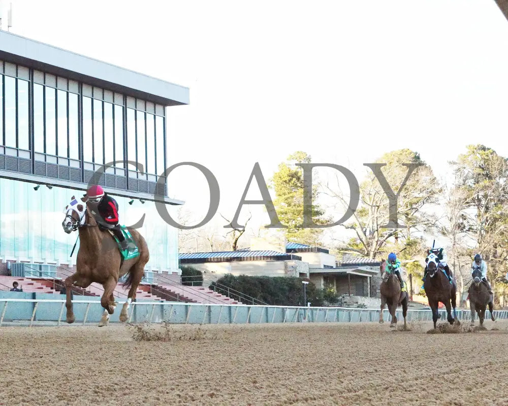 Banishing - The Byerley Turk Overnight Stakes 1St Running 01-23-25 R09 Op Action 07 Oaklawn Park