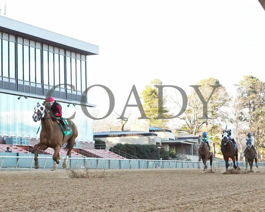 Banishing - The Byerley Turk Overnight Stakes 1St Running 01-23-25 R09 Op Action 07 Oaklawn Park