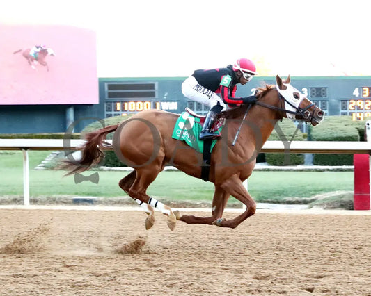 Banishing - The Byerley Turk Overnight Stakes 1St Running 01-23-25 R09 Op Action 01 Oaklawn Park