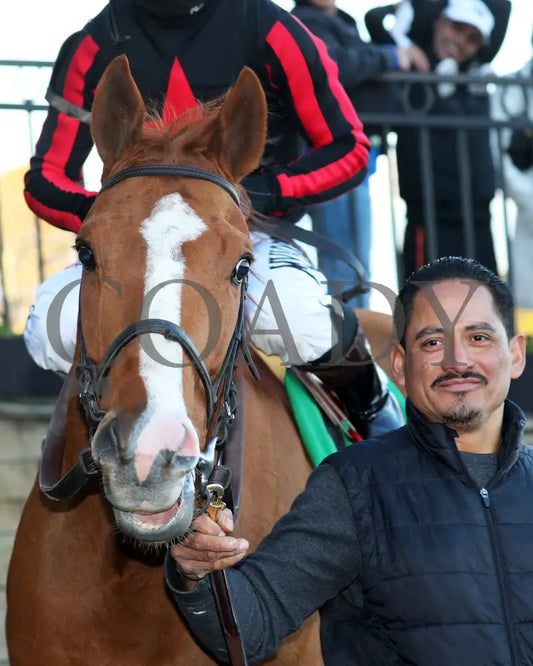 Banishing - The Byerley Turk Overnight Stakes 1St Running 01-23-25 R09 Op Come Back 03 Oaklawn Park