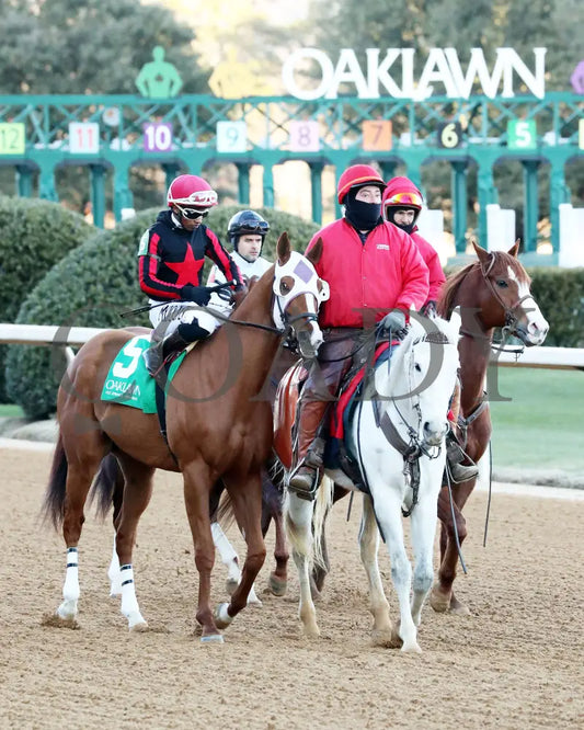Banishing - The Byerley Turk Overnight Stakes 1St Running 01-23-25 R09 Op Post Parade 02 Oaklawn