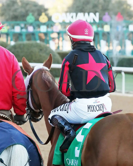 Banishing - The Byerley Turk Overnight Stakes 1St Running 01-23-25 R09 Op Post Parade 04 Oaklawn