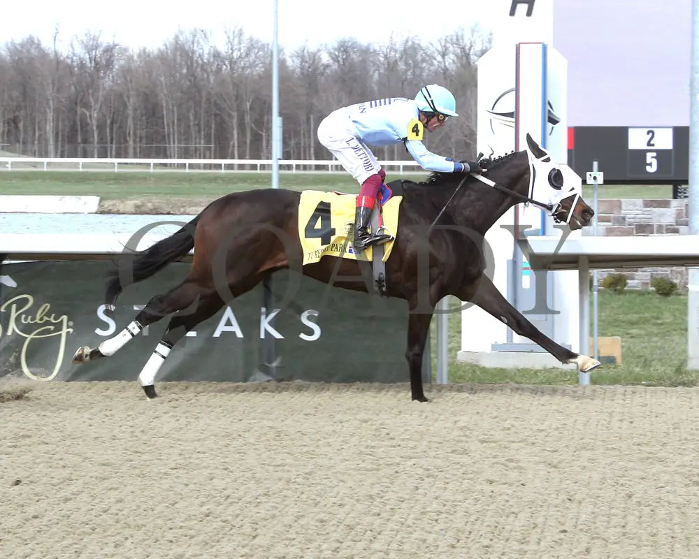 BANKS - RUSHAWAY - 38th Running - 03-22-25 - R08 - TP - Finish 01 Turfway Park