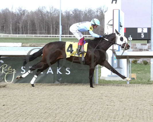 BANKS - RUSHAWAY - 38th Running - 03-22-25 - R08 - TP - Finish 01 Turfway Park