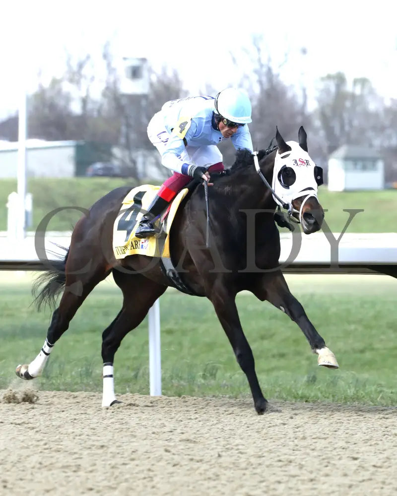 BANKS - RUSHAWAY - 38th Running - 03-22-25 - R08 - TP - Finish 02 Turfway Park