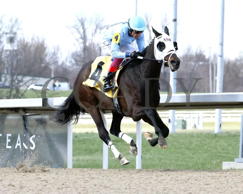 BANKS - RUSHAWAY - 38th Running - 03-22-25 - R08 - TP - Finish 04 Turfway Park
