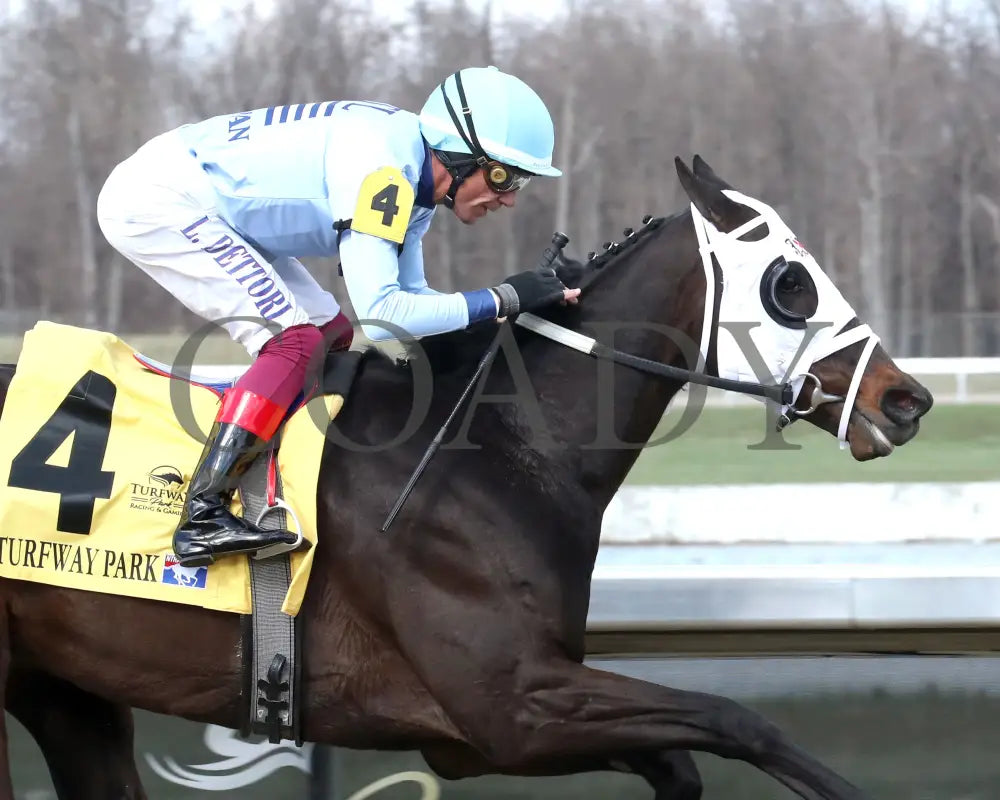 BANKS - RUSHAWAY - 38th Running - 03-22-25 - R08 - TP - Finish 03 Turfway Park