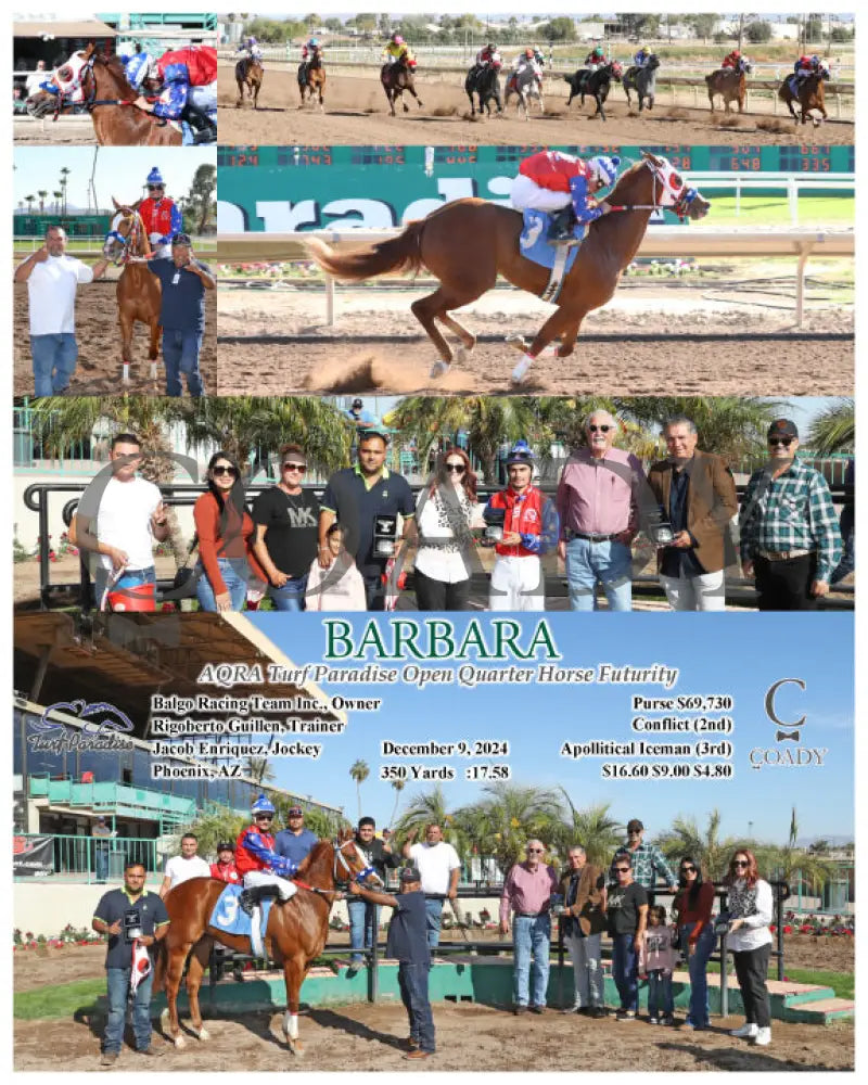 Barbara - Aqra Turf Paradise Open Quarter Horse Futurity 12-09-24 R02 Tup