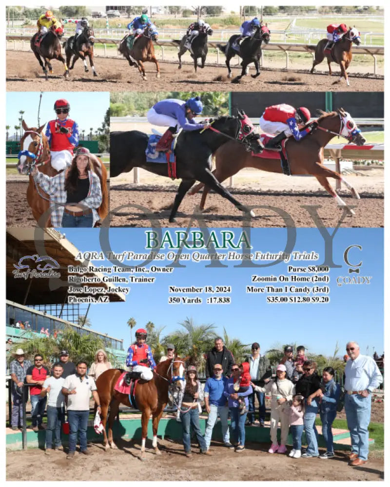 Barbara - Aqra Turf Paradise Open Quarter Horse Futurity Trials 11-18-24 R03 Tup