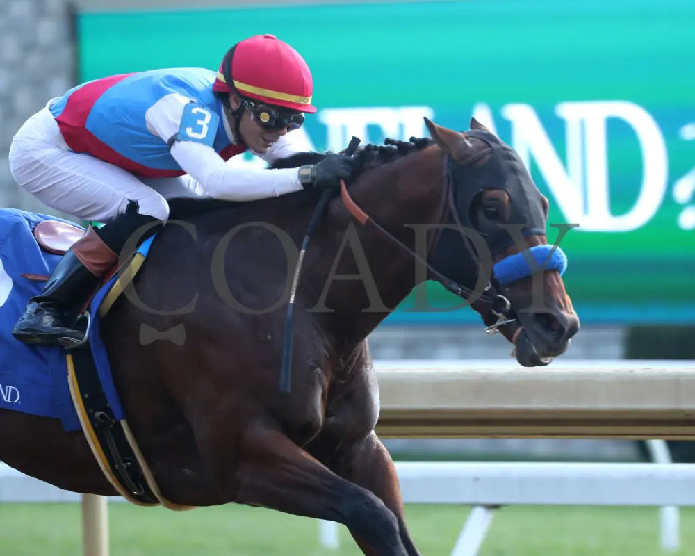 BARNES - 101825 - Race 06 - KEE - The Perryville - Finish 02 Keeneland