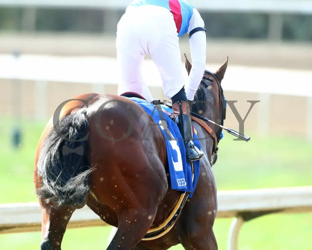 BARNES - 101825 - Race 06 - KEE - The Perryville - Gallop Out 03 Keeneland