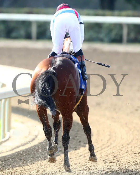BARNES - 101825 - Race 06 - KEE - The Perryville - Gallop Out 04 Keeneland