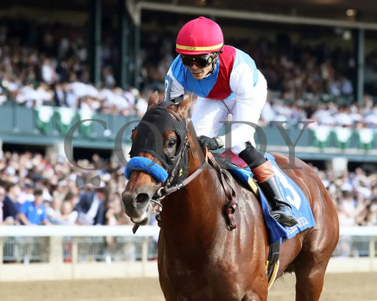 BARNES - 101825 - Race 06 - KEE - The Perryville - Inside Finish 02 Keeneland