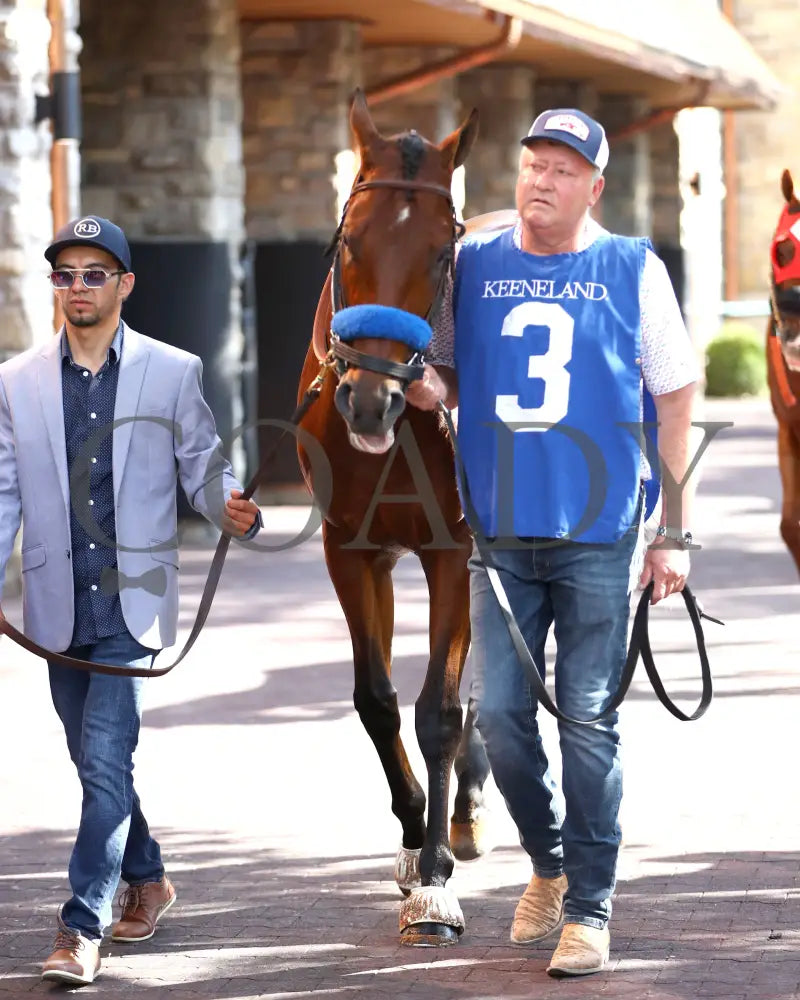 BARNES - 101825 - Race 06 - KEE - The Perryville - Paddock 01 Keeneland