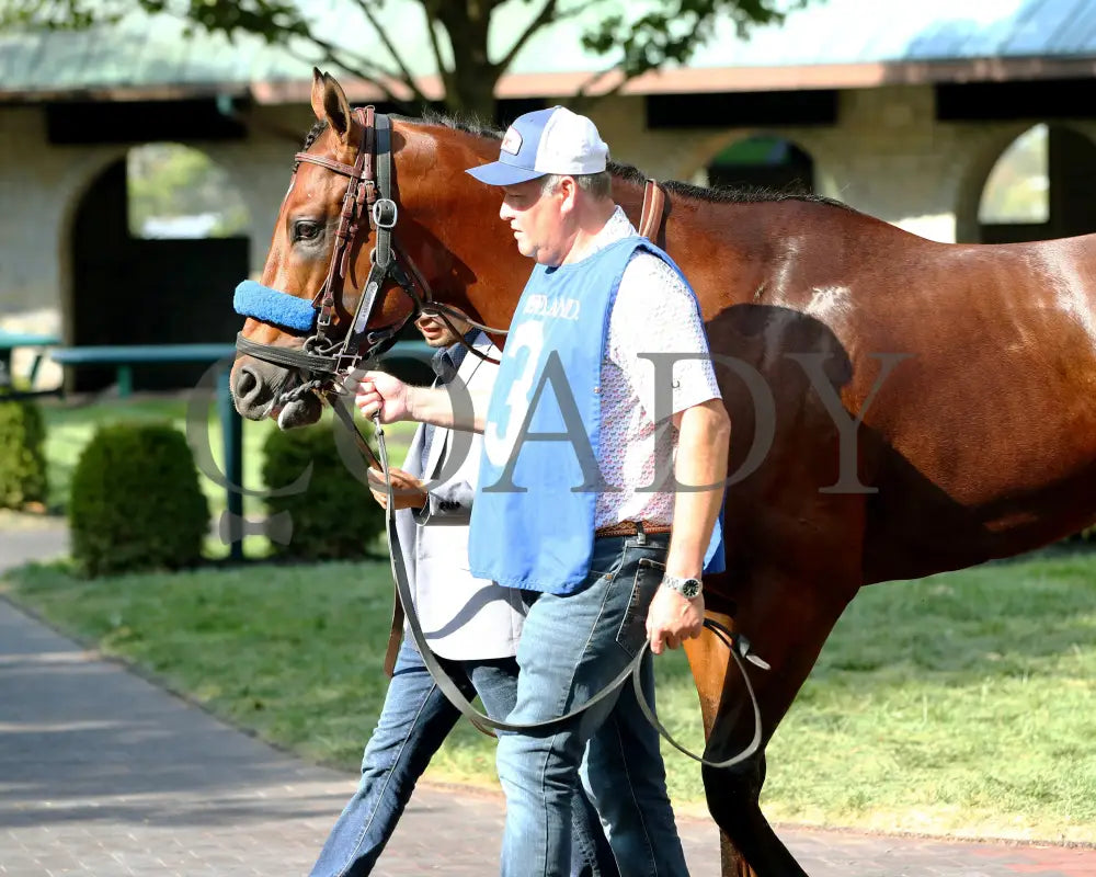 BARNES - 101825 - Race 06 - KEE - The Perryville - Paddock 02 Keeneland